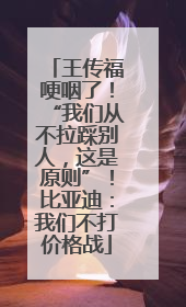 王传福哽咽了！“我们从不拉踩别人，这是原则”！比亚迪：我们不打价格战