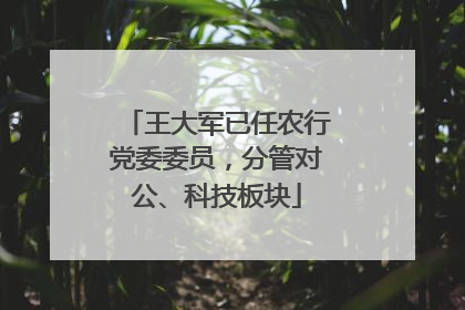 王大军已任农行党委委员，分管对公、科技板块