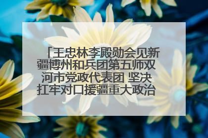 王忠林李殿勋会见新疆博州和兵团第五师双河市党政代表团 坚决扛牢对口援疆重大政治责任 推动双方实现优势互补务实合作