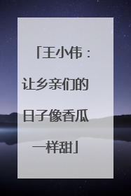王小伟：让乡亲们的日子像香瓜一样甜
