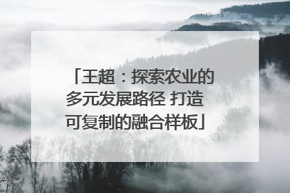 王超：探索农业的多元发展路径 打造可复制的融合样板