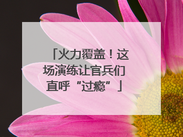 火力覆盖！这场演练让官兵们直呼“过瘾”