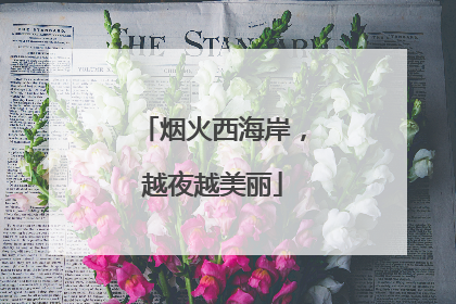 烟火西海岸，越夜越美丽