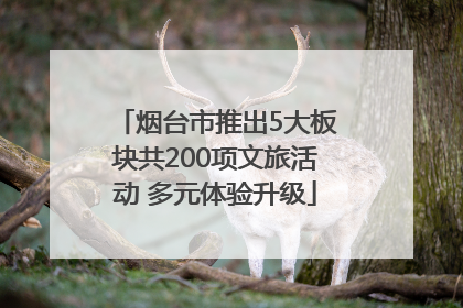 烟台市推出5大板块共200项文旅活动 多元体验升级