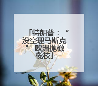 特朗普：“没空理马斯克” 欧洲抛橄榄枝