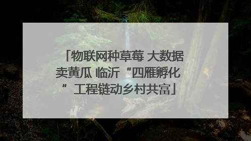 物联网种草莓 大数据卖黄瓜 临沂“四雁孵化”工程链动乡村共富