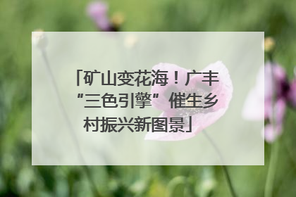 矿山变花海！广丰“三色引擎”催生乡村振兴新图景