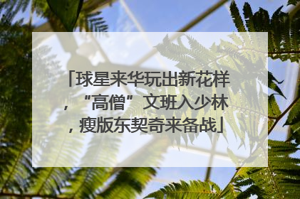 球星来华玩出新花样，“高僧”文班入少林，瘦版东契奇来备战