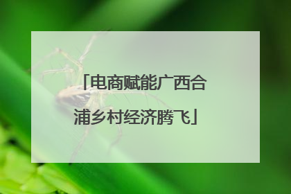 电商赋能广西合浦乡村经济腾飞
