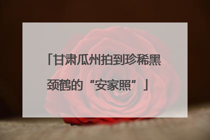甘肃瓜州拍到珍稀黑颈鹤的“安家照”