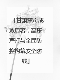甘肃禁毒成效显著：高压严打与全民防控构筑安全防线