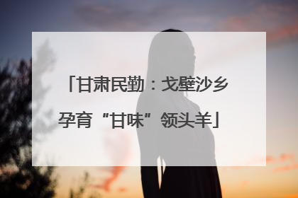 甘肃民勤：戈壁沙乡孕育“甘味”领头羊