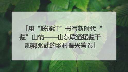 用“联通红”书写新时代“疆”山情——山东联通援疆干部郝兆武的乡村振兴答卷