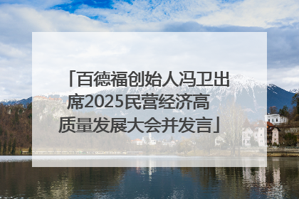 百德福创始人冯卫出席2025民营经济高质量发展大会并发言