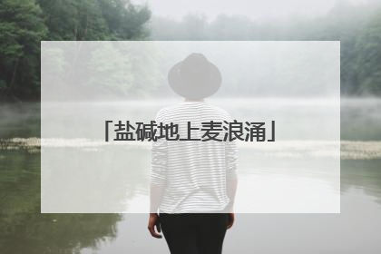 盐碱地上麦浪涌
