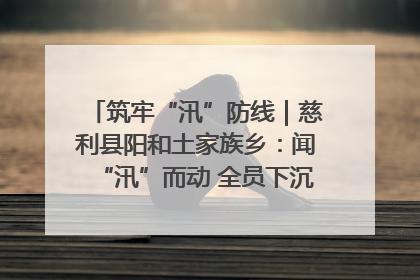 筑牢“汛”防线｜慈利县阳和土家族乡：闻“汛”而动 全员下沉筑牢防汛“安全堤”