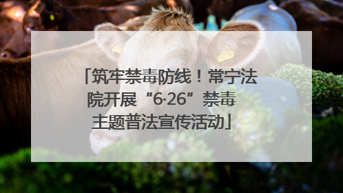 筑牢禁毒防线！常宁法院开展“6·26”禁毒主题普法宣传活动