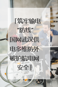 筑牢输电“防线” 国网武汉供电多维防外破护航电网安全