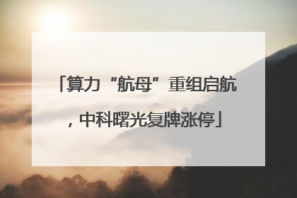 算力“航母”重组启航，中科曙光复牌涨停