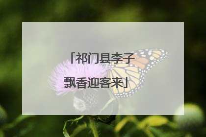 祁门县李子飘香迎客来