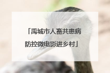 禹城市人畜共患病防控微电影进乡村