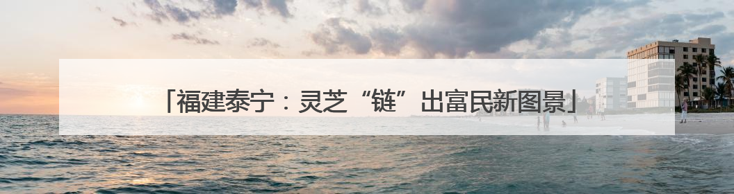 福建泰宁：灵芝“链”出富民新图景