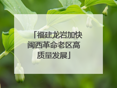 福建龙岩加快闽西革命老区高质量发展