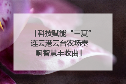 科技赋能“三夏” 连云港云台农场奏响智慧丰收曲