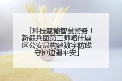 科技赋能智慧警务！新疆兵团第三师喀什垦区公安局构建数字防线守护边疆平安