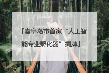 秦皇岛市首家“人工智能专业孵化器”揭牌