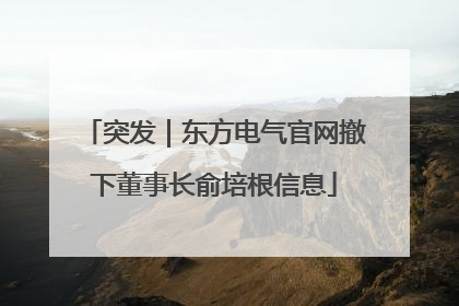突发｜东方电气官网撤下董事长俞培根信息