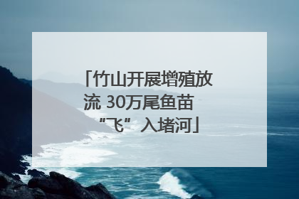 竹山开展增殖放流 30万尾鱼苗“飞”入堵河