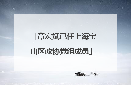 章宏斌已任上海宝山区政协党组成员