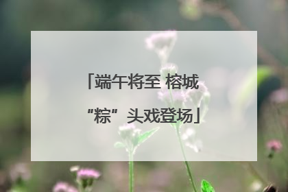 端午将至 榕城“粽”头戏登场