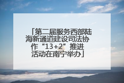 第二届服务西部陆海新通道建设司法协作“13+2”推进活动在南宁举办
