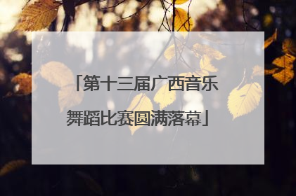 第十三届广西音乐舞蹈比赛圆满落幕