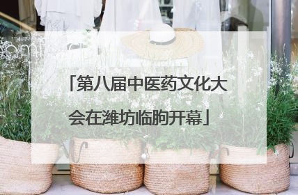 第八届中医药文化大会在潍坊临朐开幕