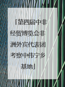 第四届中非经贸博览会非洲外宾代表团考察中伟宁乡基地