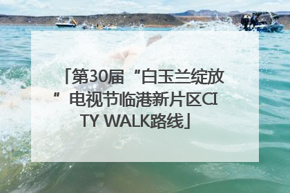 第30届“白玉兰绽放”电视节临港新片区CITY WALK路线