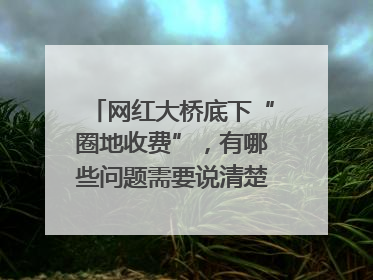 网红大桥底下“圈地收费”，有哪些问题需要说清楚｜新京报快评