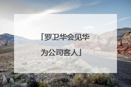罗卫华会见华为公司客人