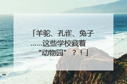 羊驼、孔雀、兔子……这些学校藏着 “动物园”？！