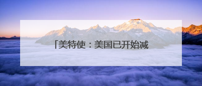 美特使：美国已开始减少在叙利亚的军事存在