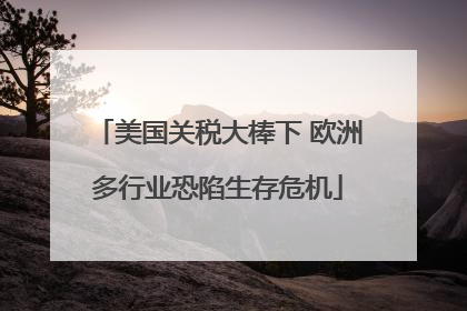 美国关税大棒下 欧洲多行业恐陷生存危机