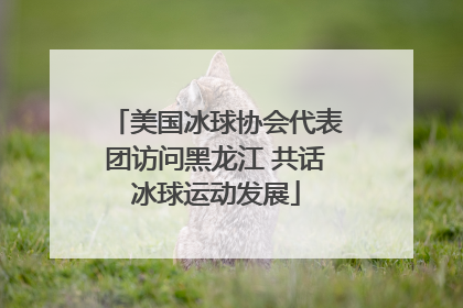 美国冰球协会代表团访问黑龙江 共话冰球运动发展