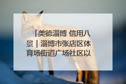 美德淄博 信用八景｜淄博市张店区体育场街道广场社区以诚信串起幸福脉络