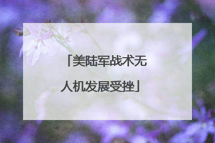 美陆军战术无人机发展受挫
