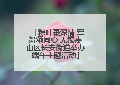 粽叶裹深情 军舞颂同心 无锡惠山区长安街道举办端午主题活动
