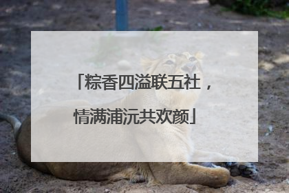 粽香四溢联五社，情满浦沅共欢颜