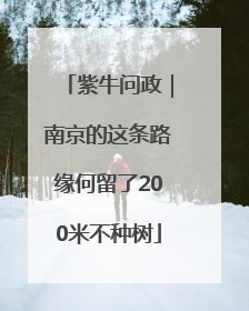 紫牛问政｜南京的这条路缘何留了200米不种树